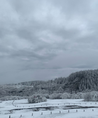 仙女山遛娃,住的酒店性价比超高,门口就是大片雪景,像童话世界