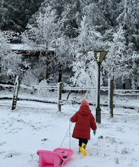 仙女山遛娃,住的酒店性价比超高,门口就是大片雪景,像童话世界