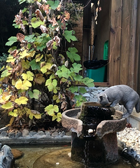 ����ɳϪ����һ�����˾Ͳ����ߵ�С�ڵأ����ӡ���Ȼ�������ɫ