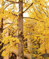 Ҹ㳡ѹʱ䵽ˣճ݋װȫ