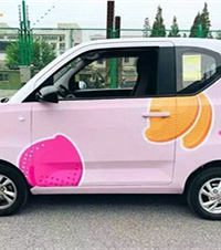 女生4万入手五菱宏光Mini EV代步,大家觉得可以吗?
