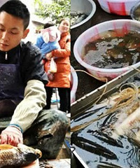 重庆冻货查出阳性,买的冻鳕鱼被老公扯起就甩了,现在吃啥子鱼哦