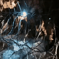 ��˫����ס�Ľţ����ҿ����ˡ���