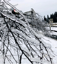 仙女山现在的雪量,住的酒店外就可以耍雪,周末赶紧上来玩