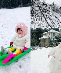 才去了仙女山看雪,周末上来正合适
