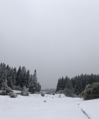 去仙女山耍雪,强烈安利你们“野滑”,简单刺激还好耍,太欢乐了
