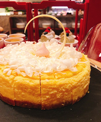 ����Կ�Ѽ�����ĵ꿪�������ˣ��ϲ�ľ�����Ʒ