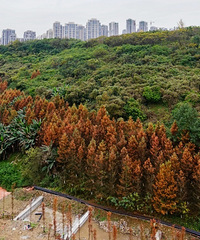 빫԰ƬˮɼҲ̫˰ɣкǸо