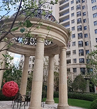 Ϊһ׷лڳԲҳ򲻸ֵ