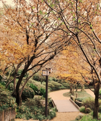 ǻиʽ԰ַѹ԰پɳƬ