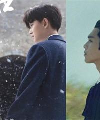 ���ɱ��ļ����磬����ϲ���ľ���