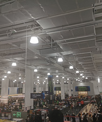 ɽķ�����������