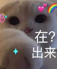 ��1221ֵ���򡿽�䴿ţ��24��84�����ڱ�ů������װ78