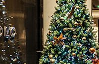 ��ʥ���������������ĩ�������������������ջ���