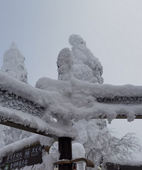 üɽĩѩ֮ãȫǻѩò