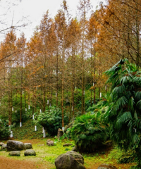 дƬˮɼ֣ĳÿץʱȥ