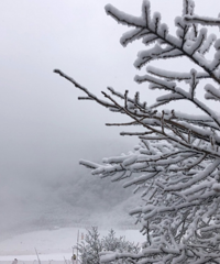 带小朋友去金佛山佛系耍雪,10点出发,当天往返,雪超厚好安逸