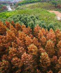 дƬˮɼ֣ĳÿץʱȥ