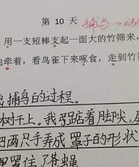 小学六年一直保持语文年级第一,家长分享经验,每天只花15分钟