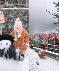 带小朋友去金佛山耍雪,当天往返好安逸