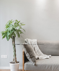 ֹڰ׻ңľɫǿ֢ܴҸ