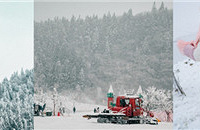 úͯһĿѩأؼûʲô