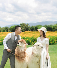 Ϊ��һ����˵�߶��ߡ������У������Ļ�ɴ�������ĳ�ȥ�����ģ�