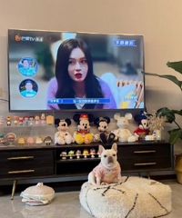 只有我觉得电视墙用大白墙最简单好看吗