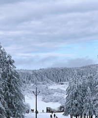 ￴ѩɾһ̫ƯˣȥݸȪĩ