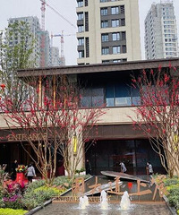公园大道接房了,能算中央公园的一股清流吗