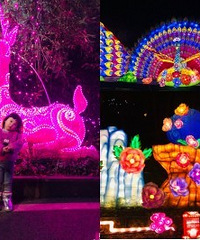 遛娃新耍事,泡个温泉夜逛灯会,巴适