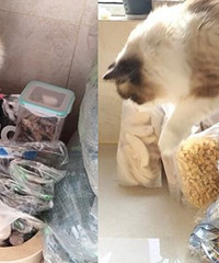 ˫ʮڵèڵ룬ôһѣоҪιɷ