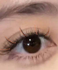 ��Ҫ�ֳ���Ȼ�ַŴ�˫�۵Ľ�ë�������ʽ��һ��Ҫ�պ�