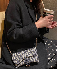 入手Dior老花包