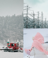 美得像童话的耍雪地,没人,性价比高