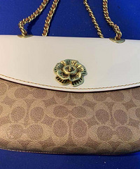 �����׵�coach�����˶�˵�ÿ�