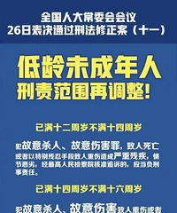 通过了!已满12周岁不满14周岁的人犯罪将负刑事责任