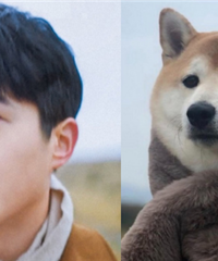 ���Ȼ����Ȯ��ĺ����