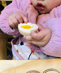 ����һ�ҺóԵĻ������������ѿ������ĳ���һ��