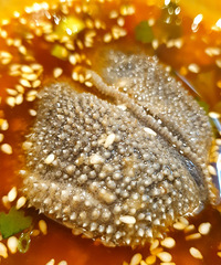 ��ҿ��ں��¶�����Ļ������Ϻ�����Ǽӳ���