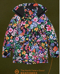 ����xGucci�����¿��������̫����