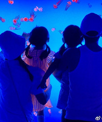 л�Ȼ���̥�� �ֲ���û�μӿ�������