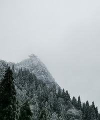 山½򿨵أһ·ͨȥѩ