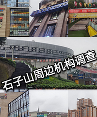 重庆兴趣班调查