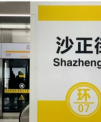 沙正街:教育一条gai,培训机构多如牛毛!