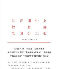 巴南小学校五(1)中队被评为2020年度“全国优秀少先队集体