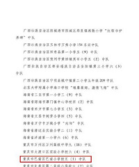 巴南小学校五(1)中队被评为2020年度“全国优秀少先队集体