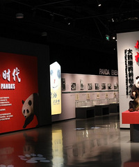 ��ѵ�֪ʶ����