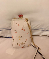 �����ɰ���Coach��������������