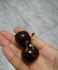 5斤车厘子两天就解决了,脆甜好吃,238算贵吗?
